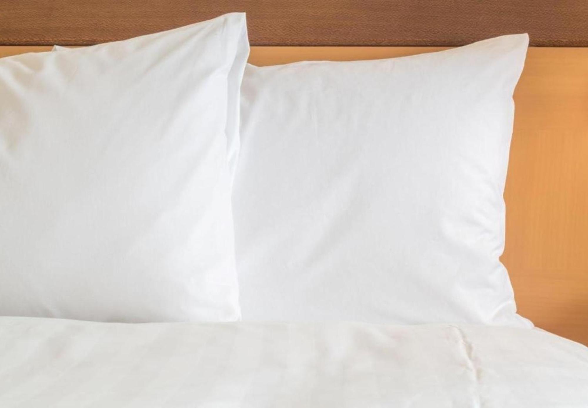Holiday Inn Express Knoxville-Strawberry Plains By Ihg Buitenkant foto